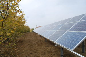 impianto fotovoltaico presso azienda agricola realizzato in collaborazione con Spea